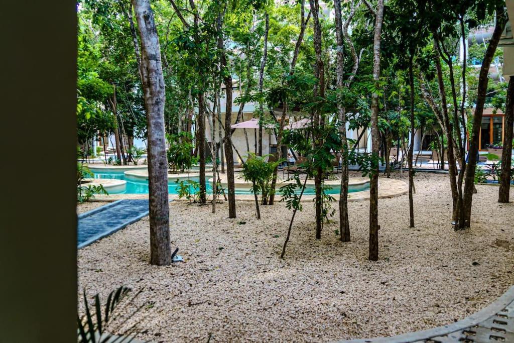 Apartamento Tranquility