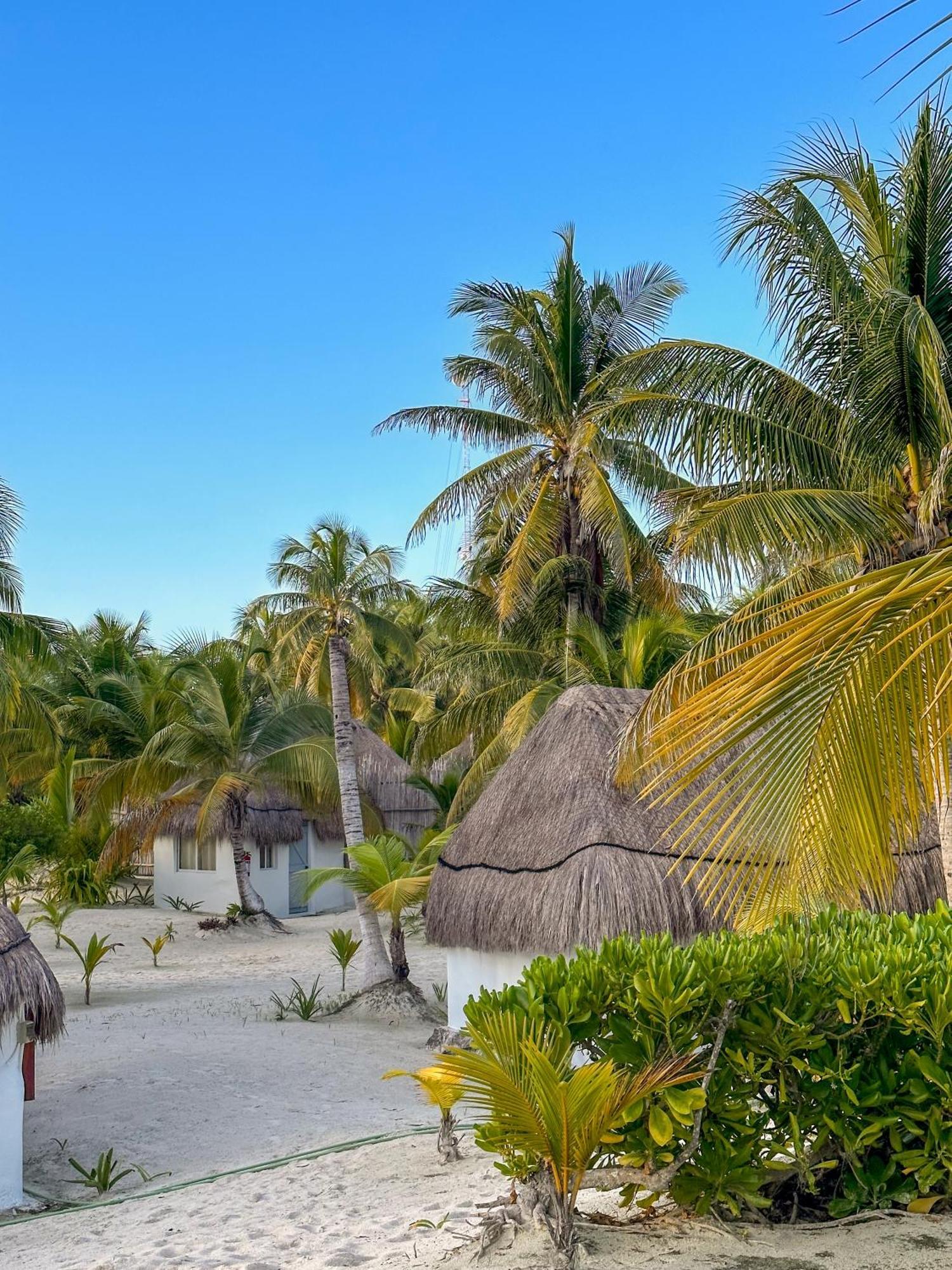 La Diosa Resort&spa