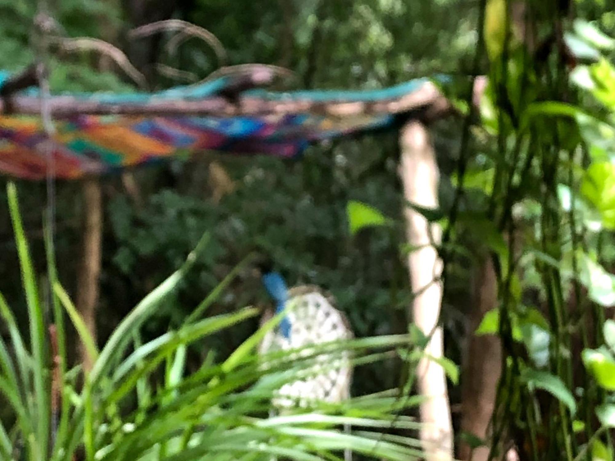 Casa Tzalam Selva 3* Tulum