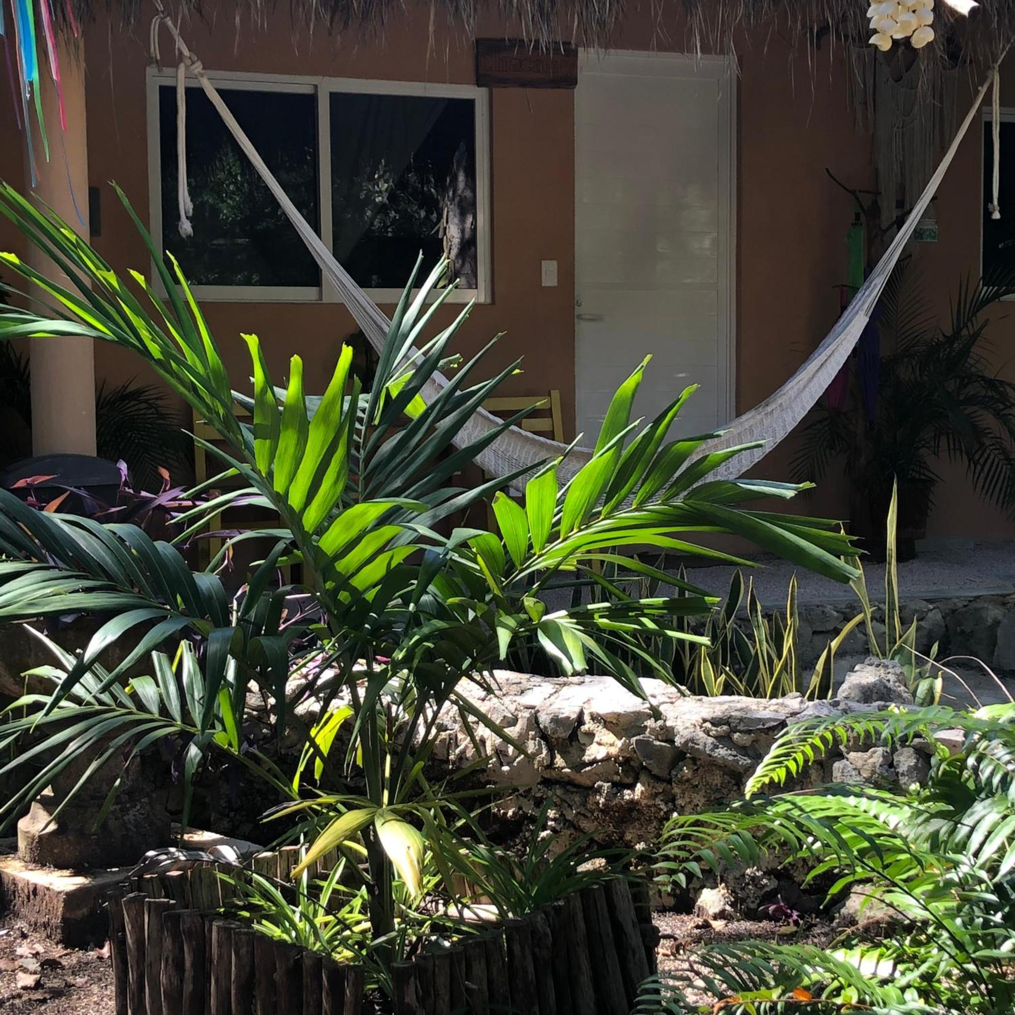 Bed and breakfast Casa Tzalam Selva 3*