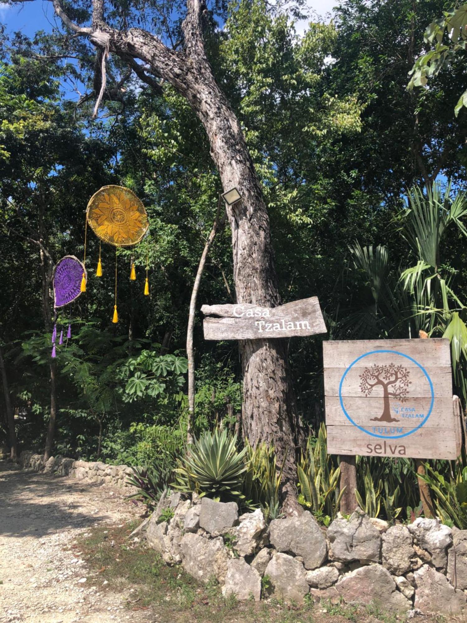 Bed and breakfast Casa Tzalam Selva 3*