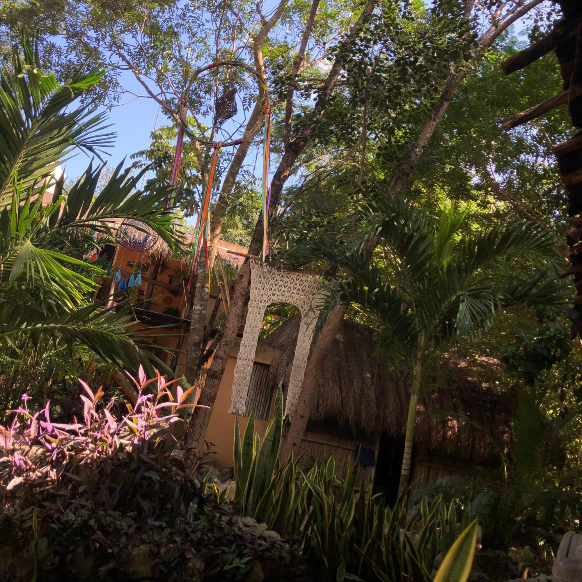 Casa Tzalam Selva Bed and breakfast 3*