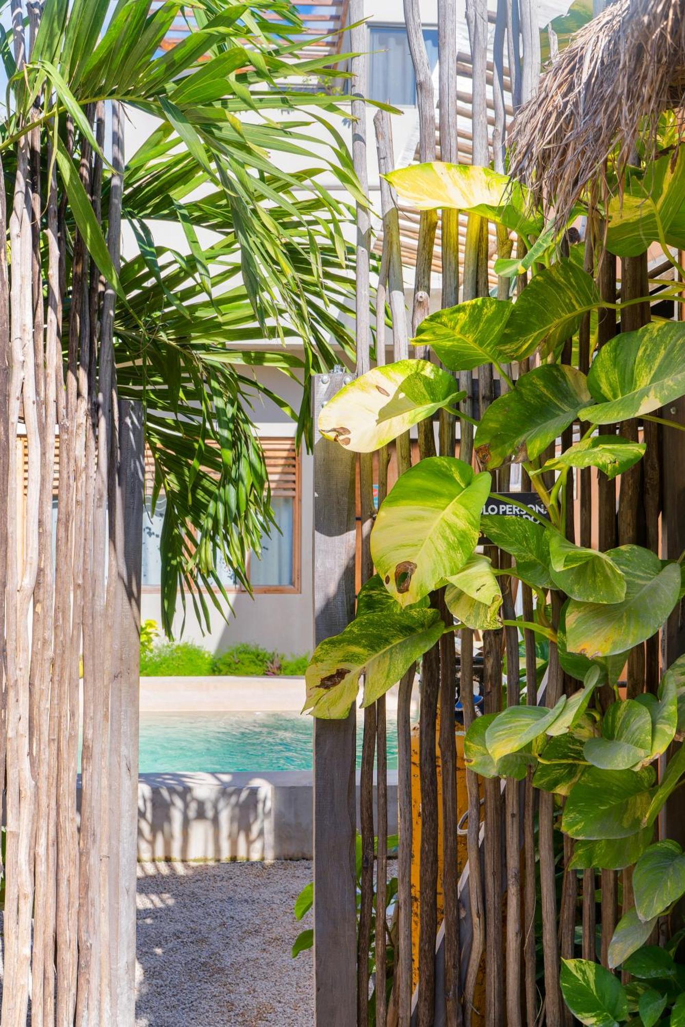 Doña Lucha Hostal Tulum