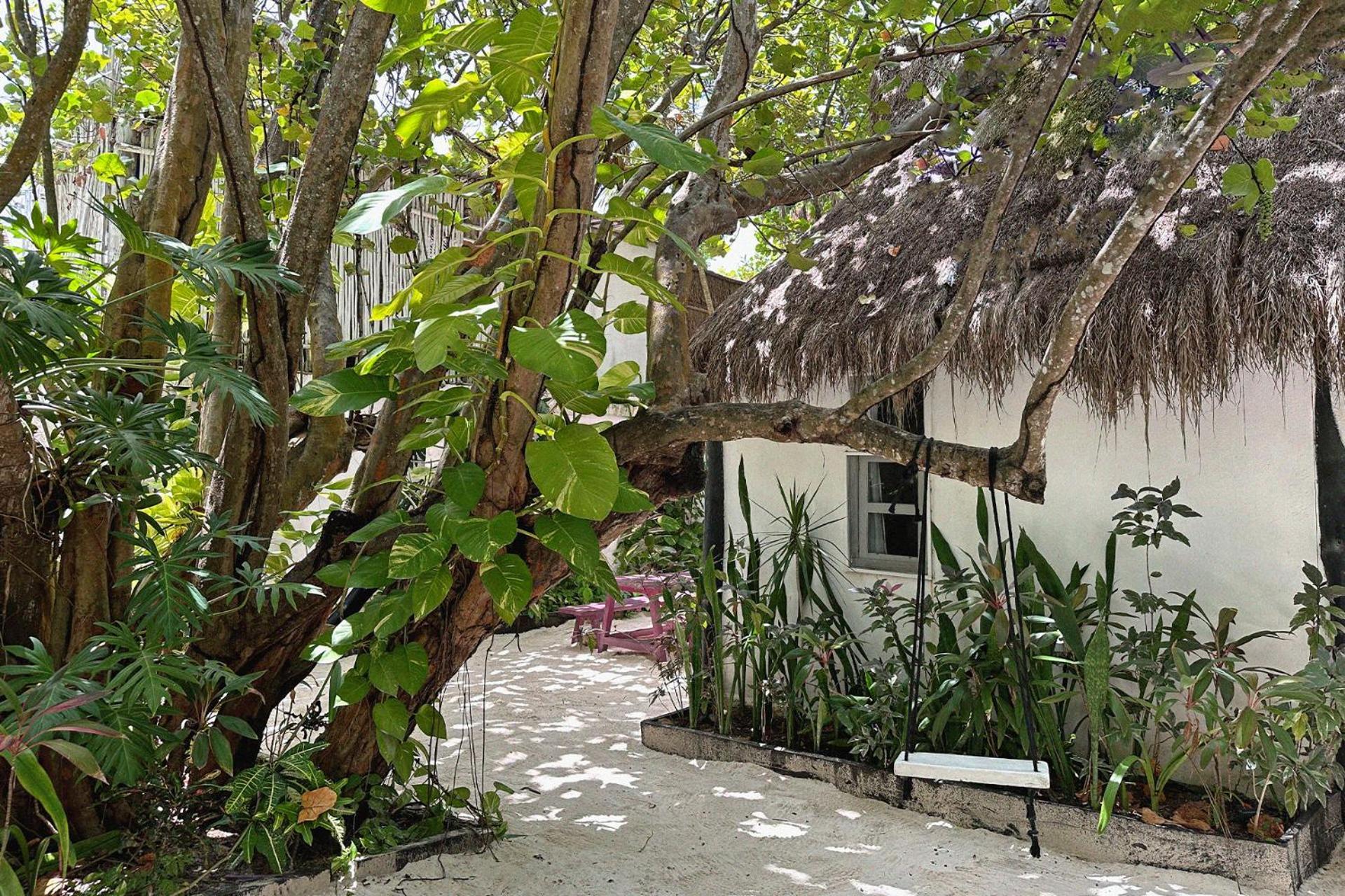 Coco 2*