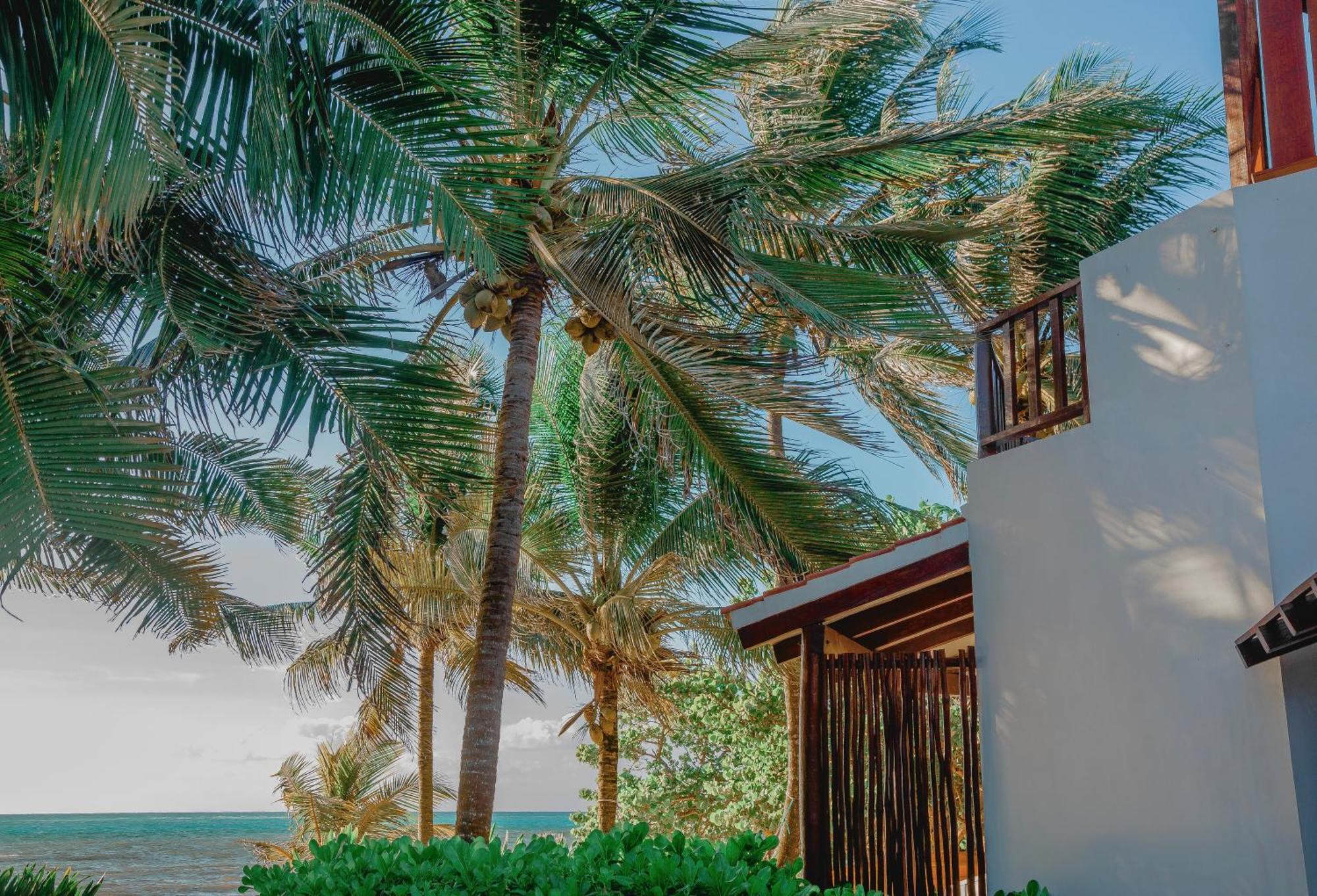 Casa Colibrí Tankah 2* Tulum