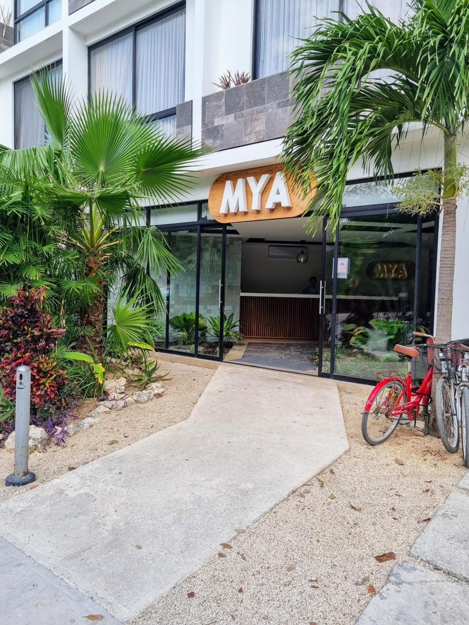 Tulum, Aldea Zama, Acogedor Estudio, Wifi Apartamento *