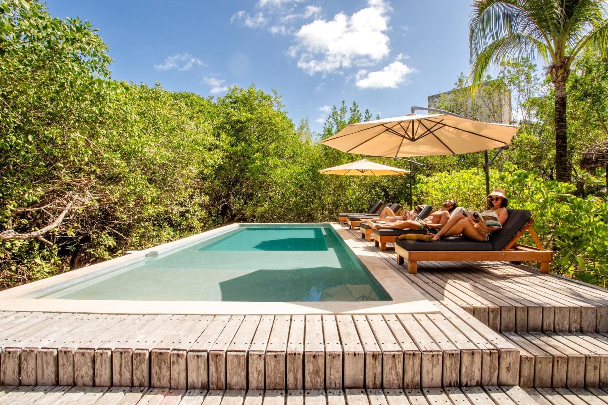 Lodge Vida Silvestre *