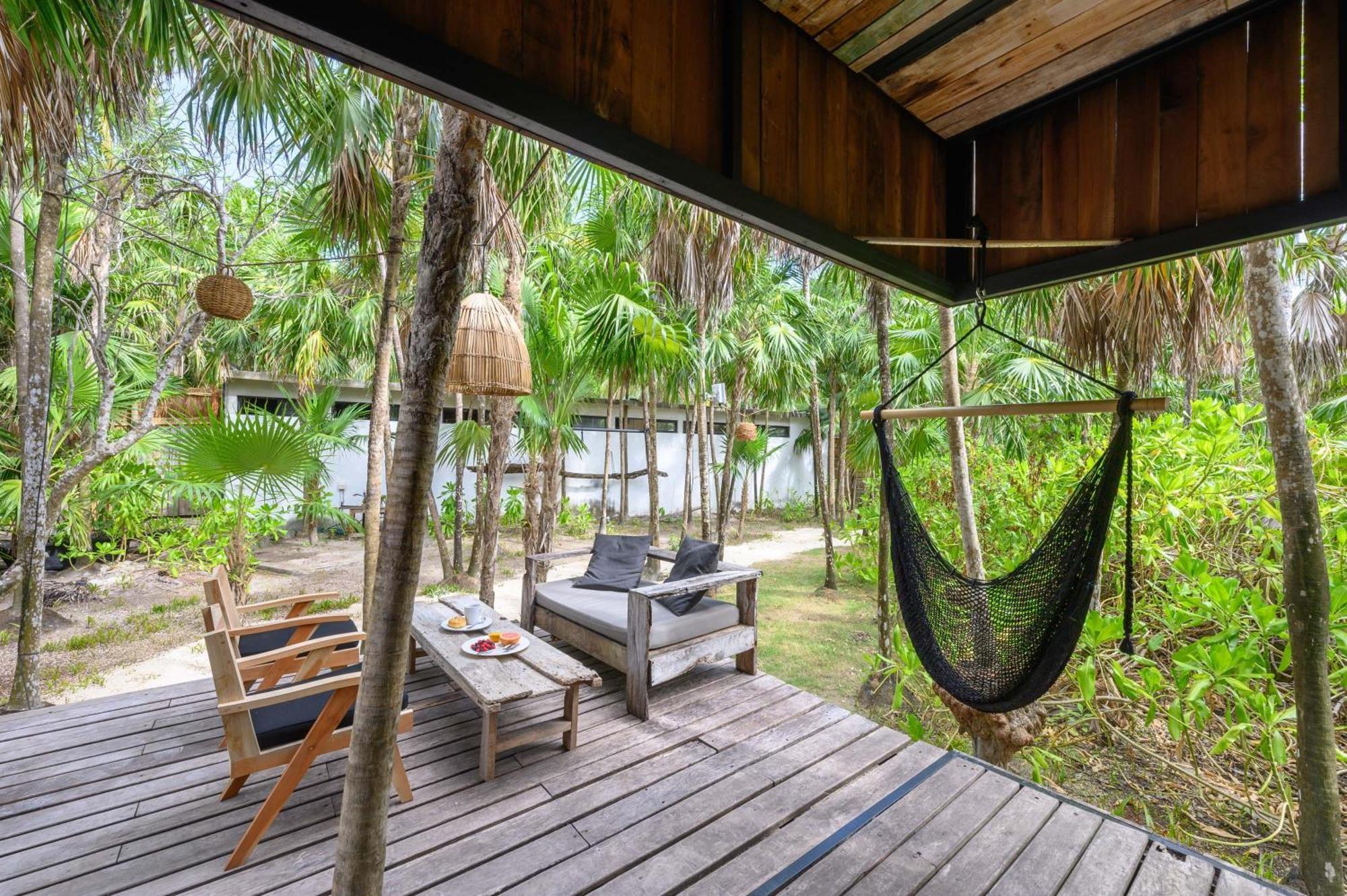 Vida Silvestre Tulum