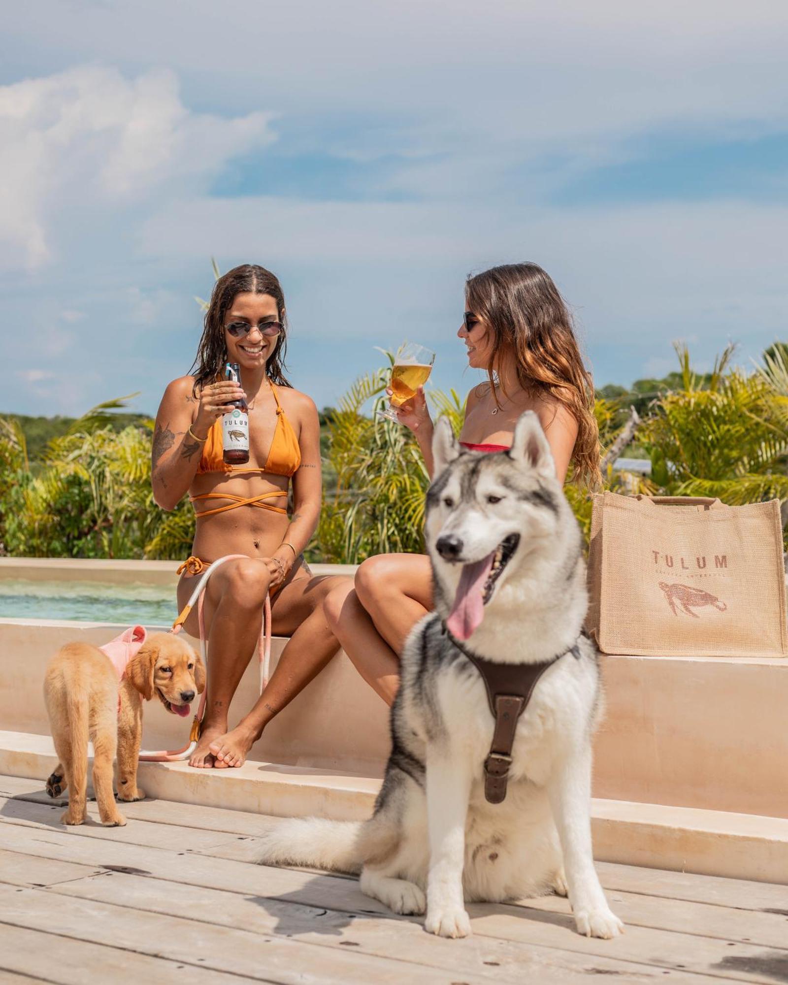 Hotel Cerveceria Boutique & Beer (adults Only)