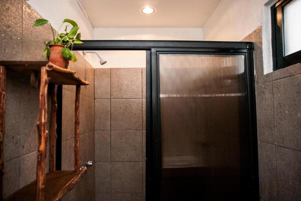 Hostel The - Food, Drinks And Transportation To The And Cenotes *
