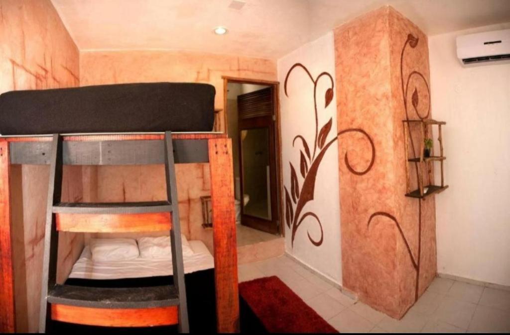Hostel The - Food, Drinks And Transportation To The And Cenotes