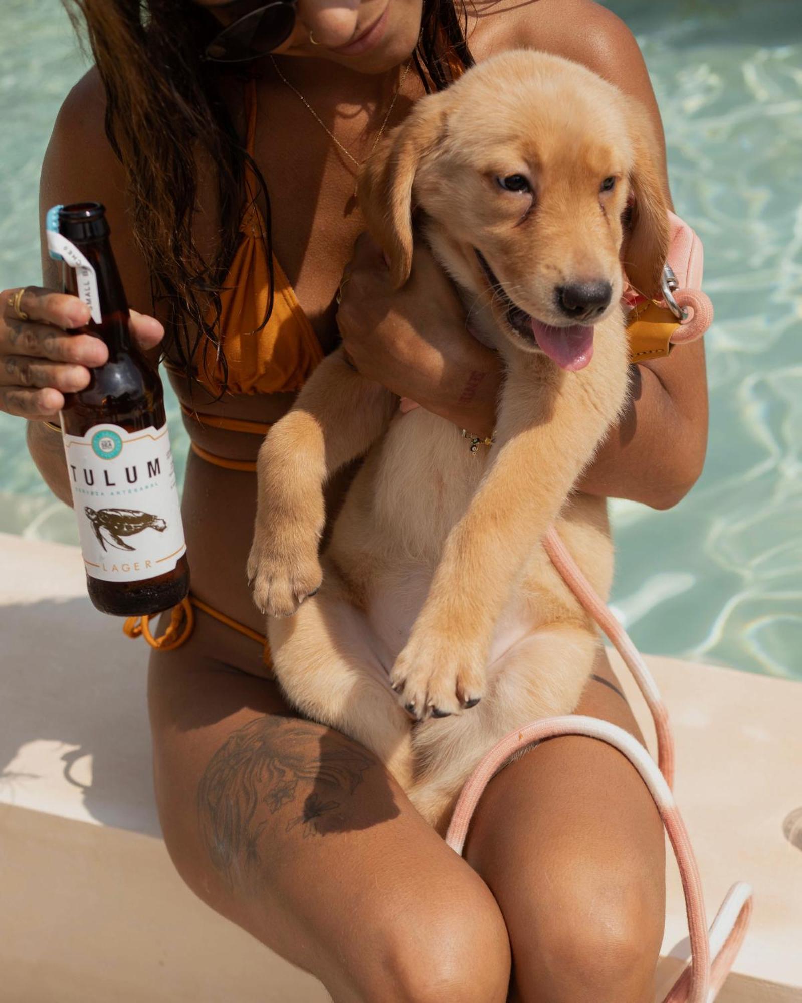 Cerveceria Boutique & Beer (adults Only)