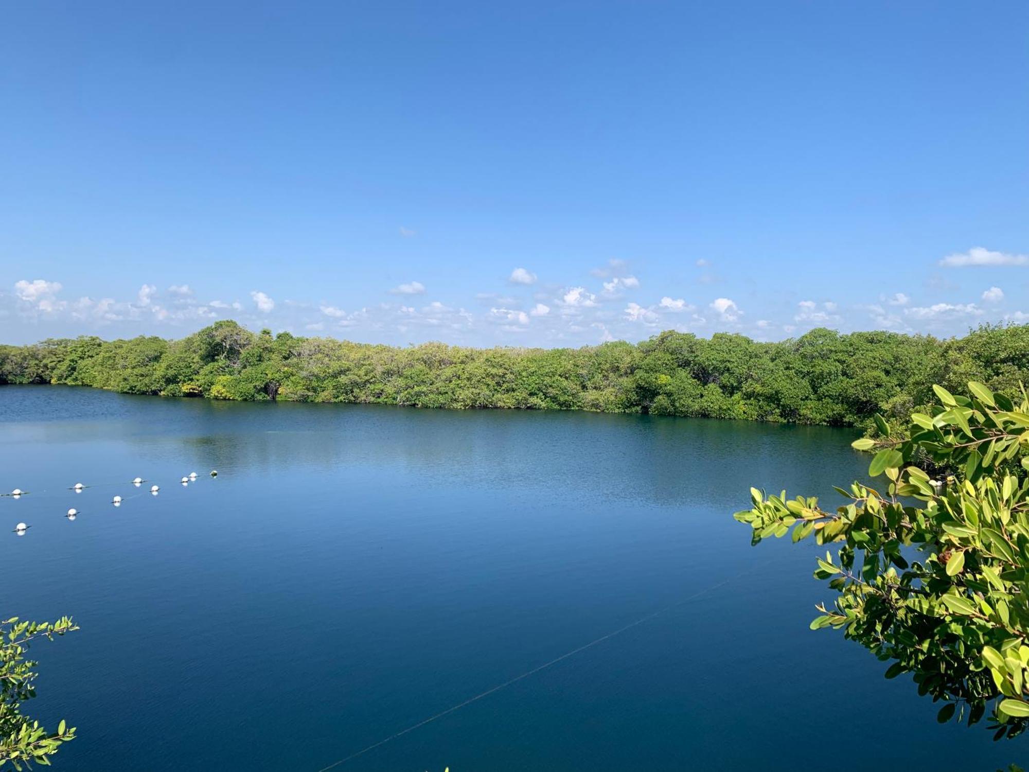 Campo de lujo Casa Borush Glamping Fruit & Cenote Experience