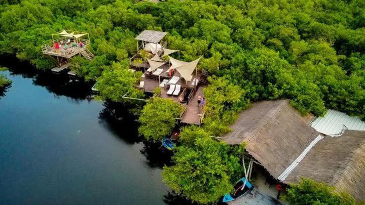 Campo de lujo Casa Borush Glamping Fruit & Cenote Experience Tulum