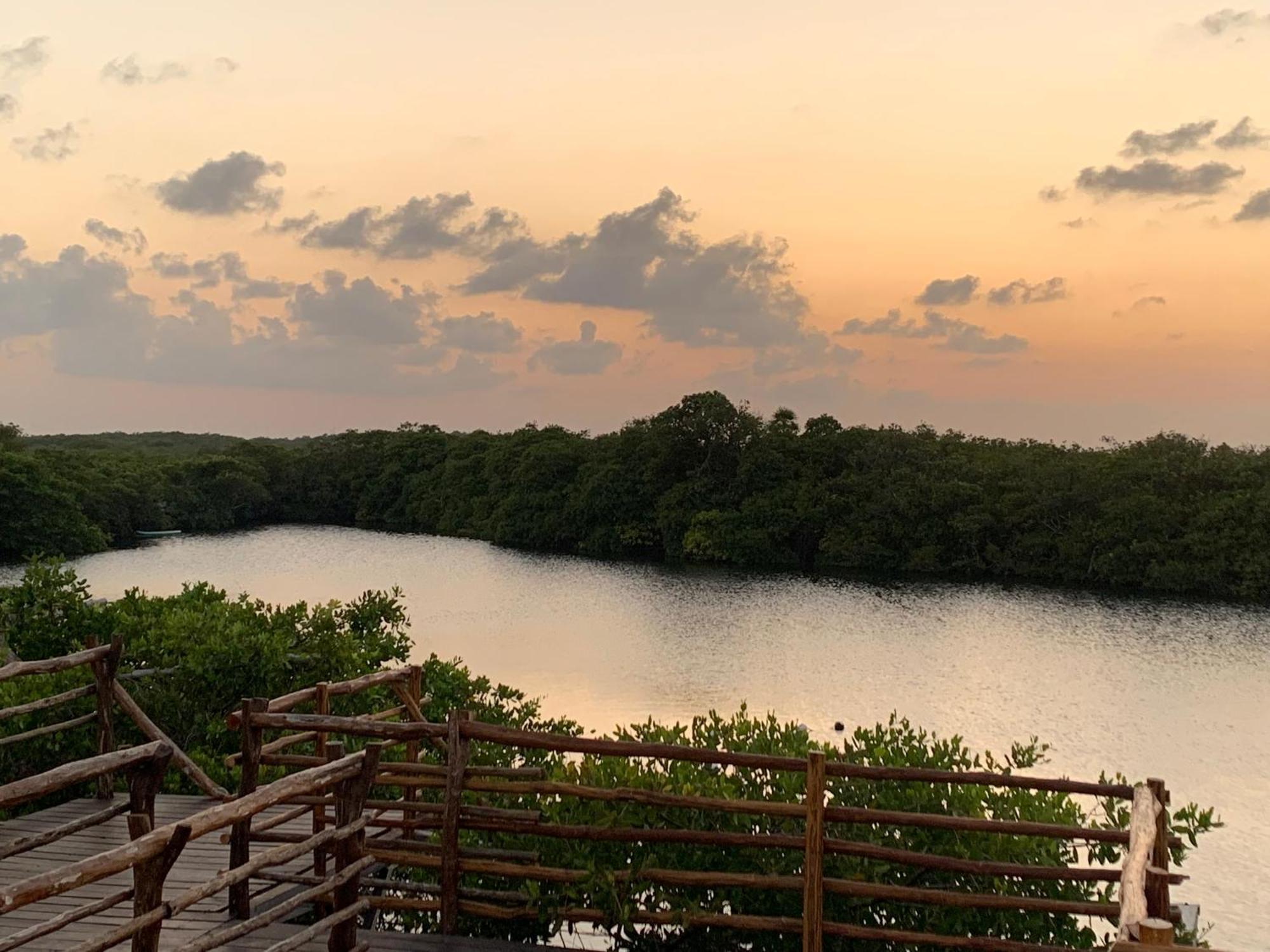 Casa Borush Glamping Fruit & Cenote Experience Campo de lujo