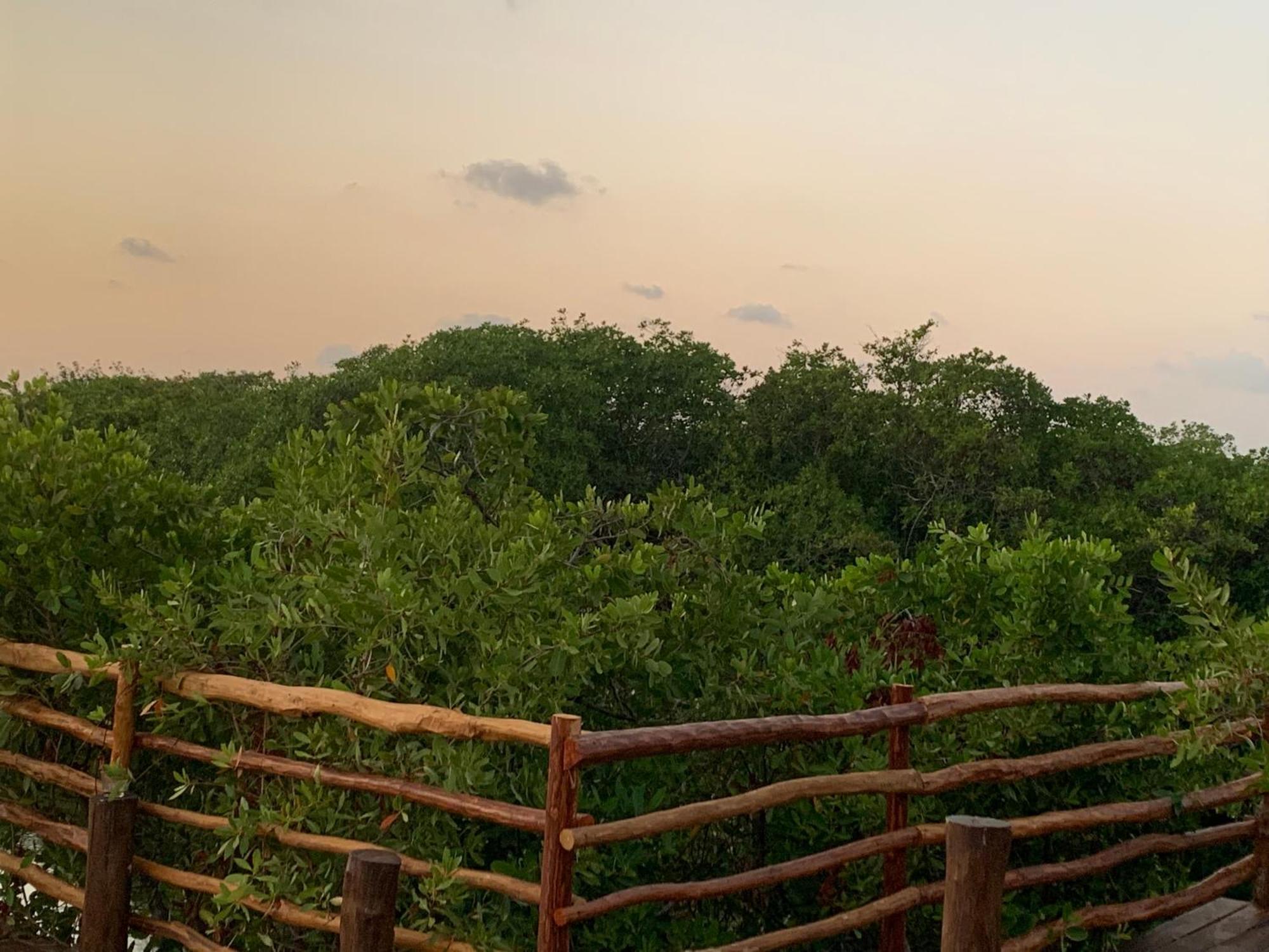 Campo de lujo Casa Borush Glamping Fruit & Cenote Experience Tulum
