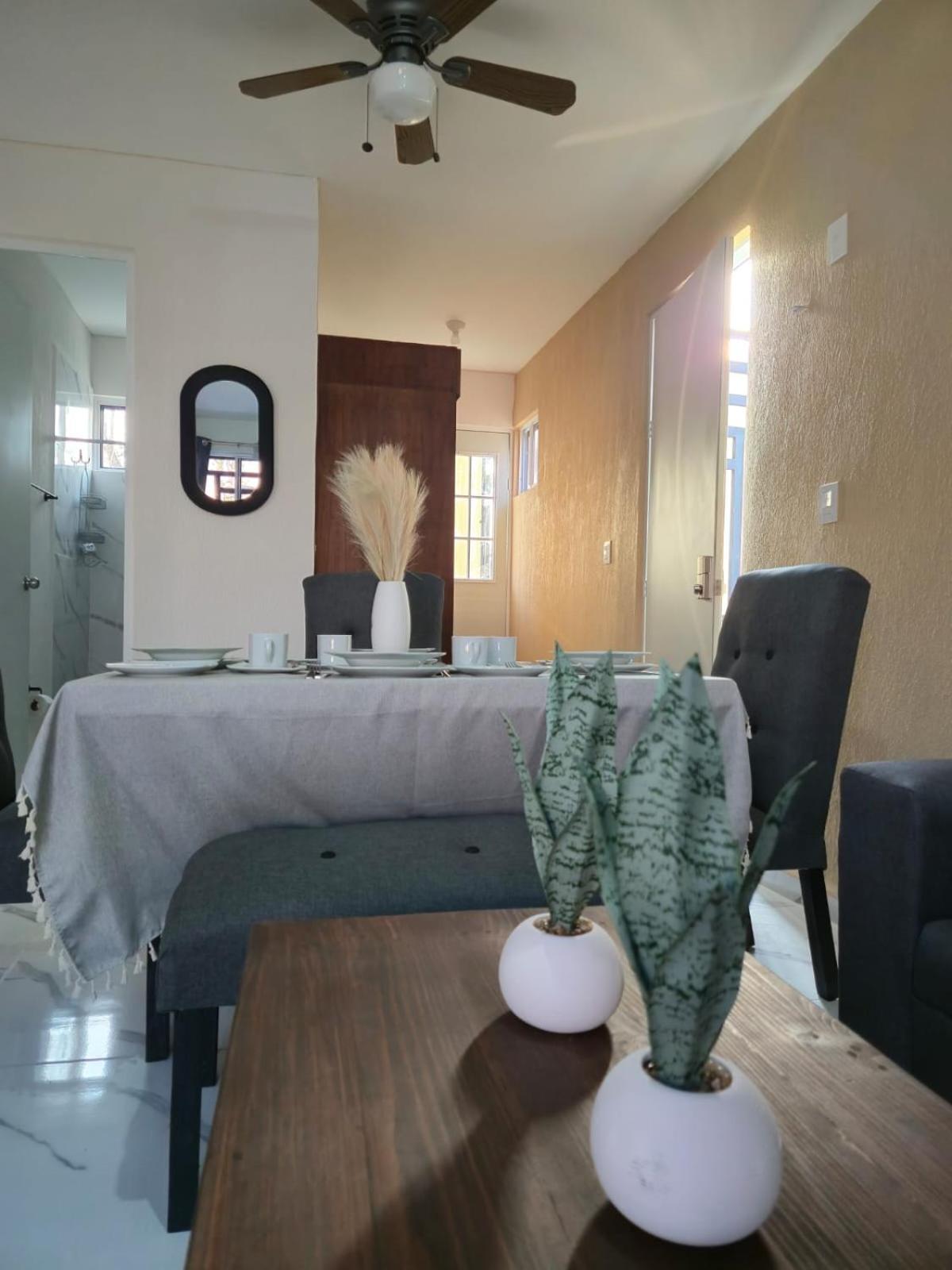 New - Village-cenotes-airport-zamna Tulum
