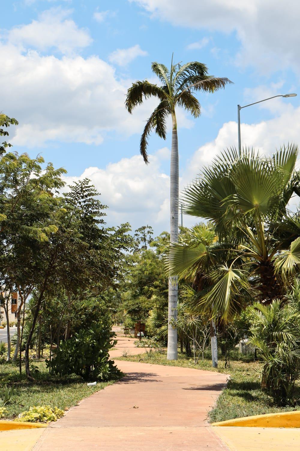 Apartamento New - Village-cenotes-airport-zamna *