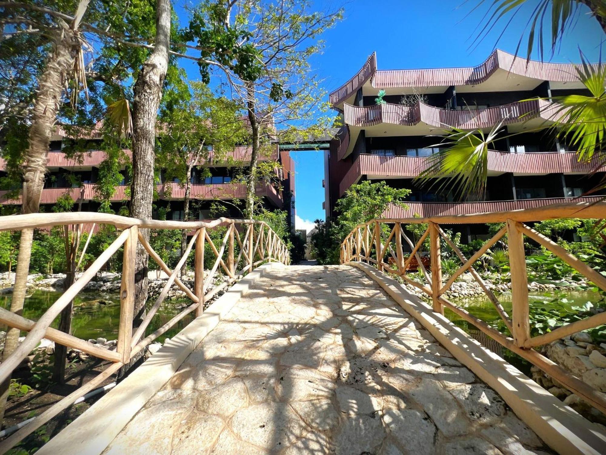 Toes In The - High Speed Wifi Bike To Tulum