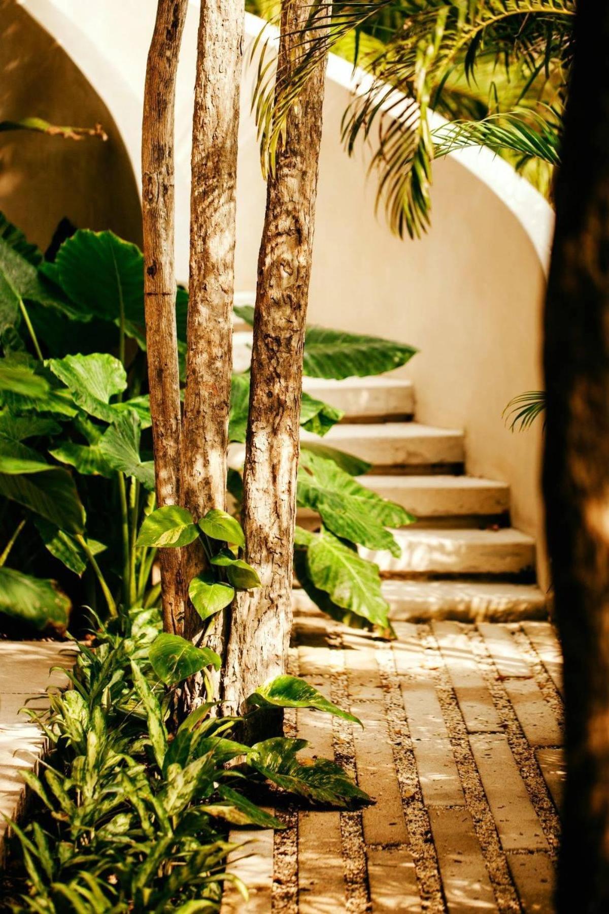 Your Dream Pool Bikes & Near Every Hotspot Tulum