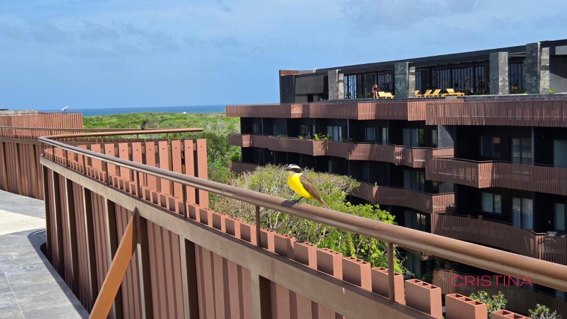 Apartamento Private Pool In Zone - Club *