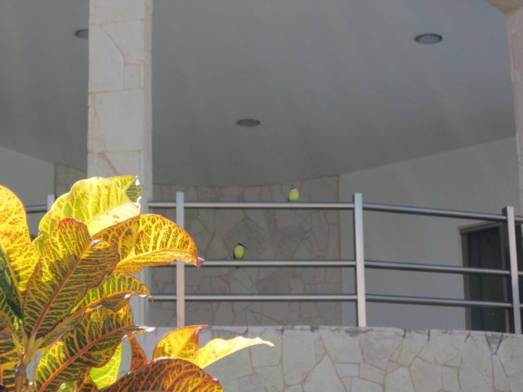 Apartamento Blueberry Luxury *