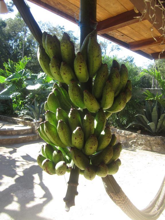 Bed and breakfast Casa Mango