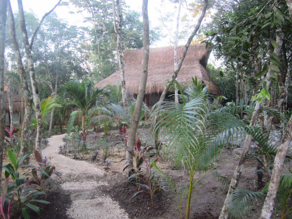 Casa Mango Bed and breakfast 2*