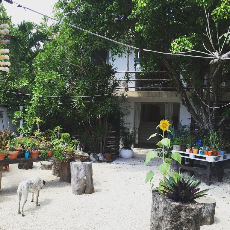 Teetotum Tulum