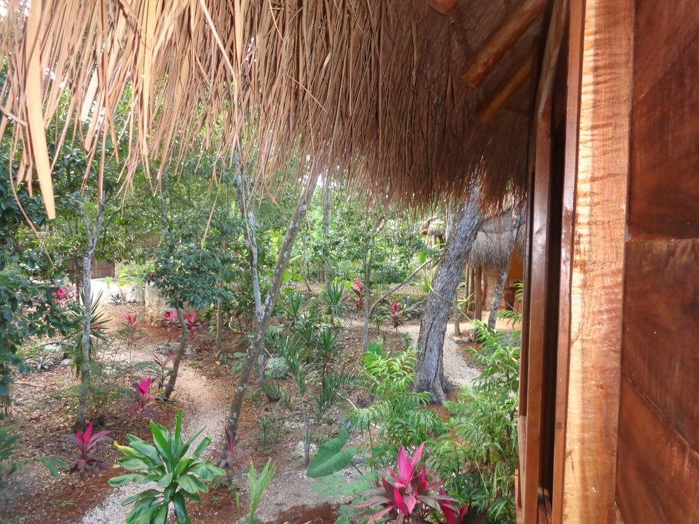 Casa Mango Bed and breakfast