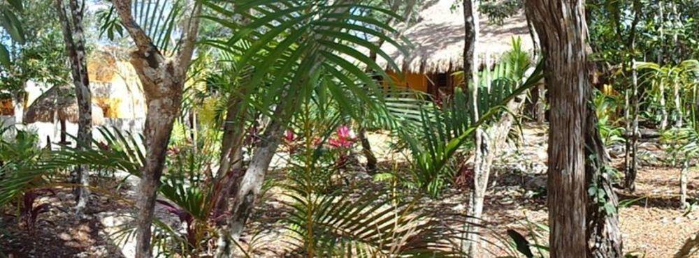 Casa Mango Bed and breakfast