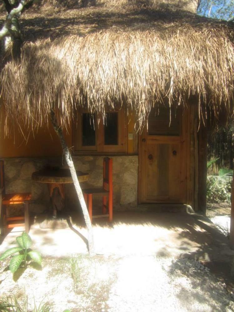 Casa Mango Bed and breakfast