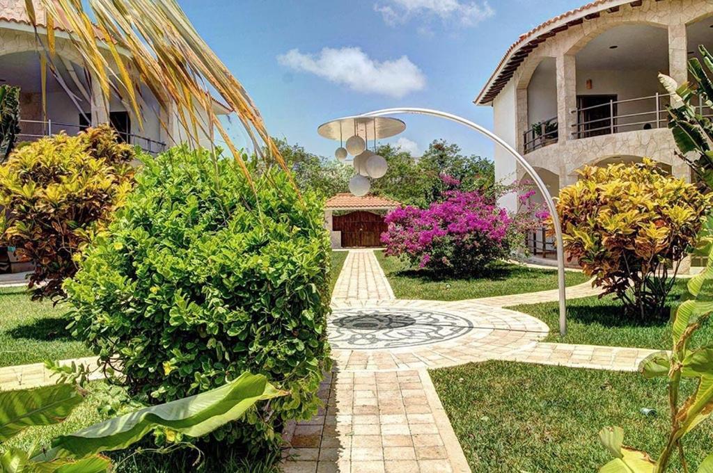 Blueberry Luxury Apartamento *
