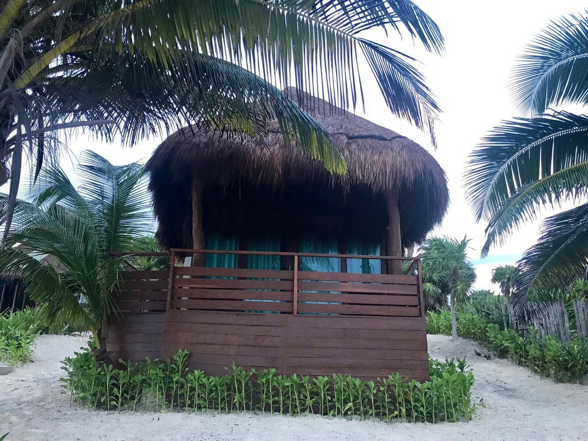 Agua Eco Design Hotel 4*