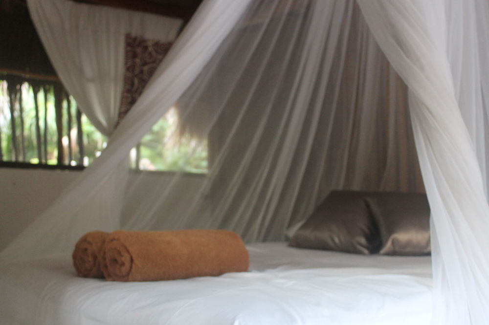 Maya Lodge