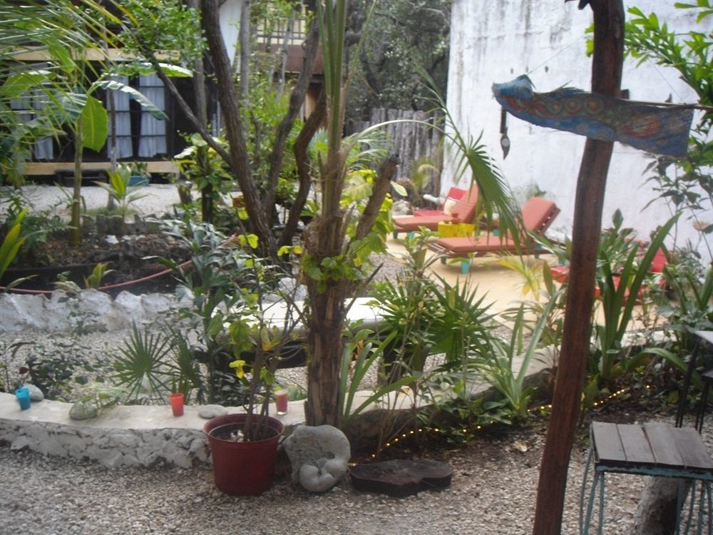 Tunich Jungle Pensión Tulum