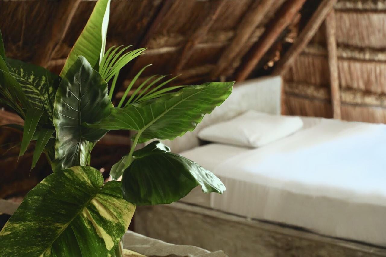 Residencia Gorila 2* Tulum