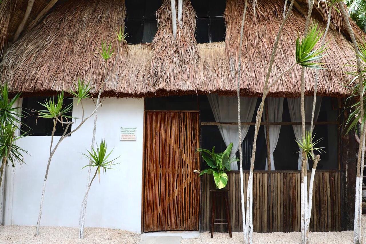 Residencia Gorila Tulum
