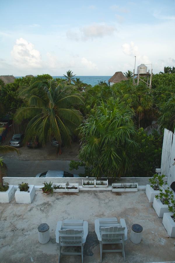 Residencia Gorila Tulum