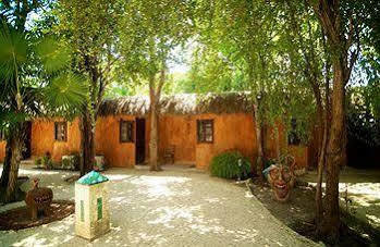 Hostel El Punto Hostal Tulum