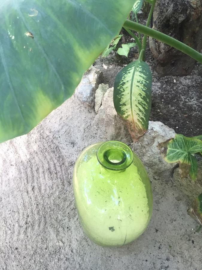 Agua Eco Design Hotel
