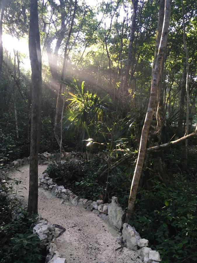 Casa Tzalam Selva Bed and breakfast 3*