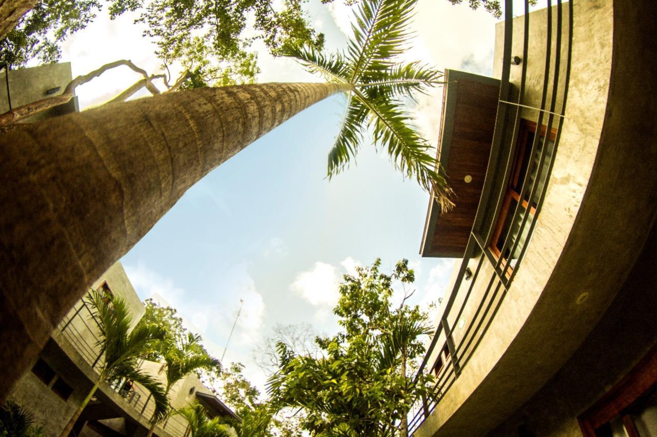 Hotel Solera With Pool Tulum