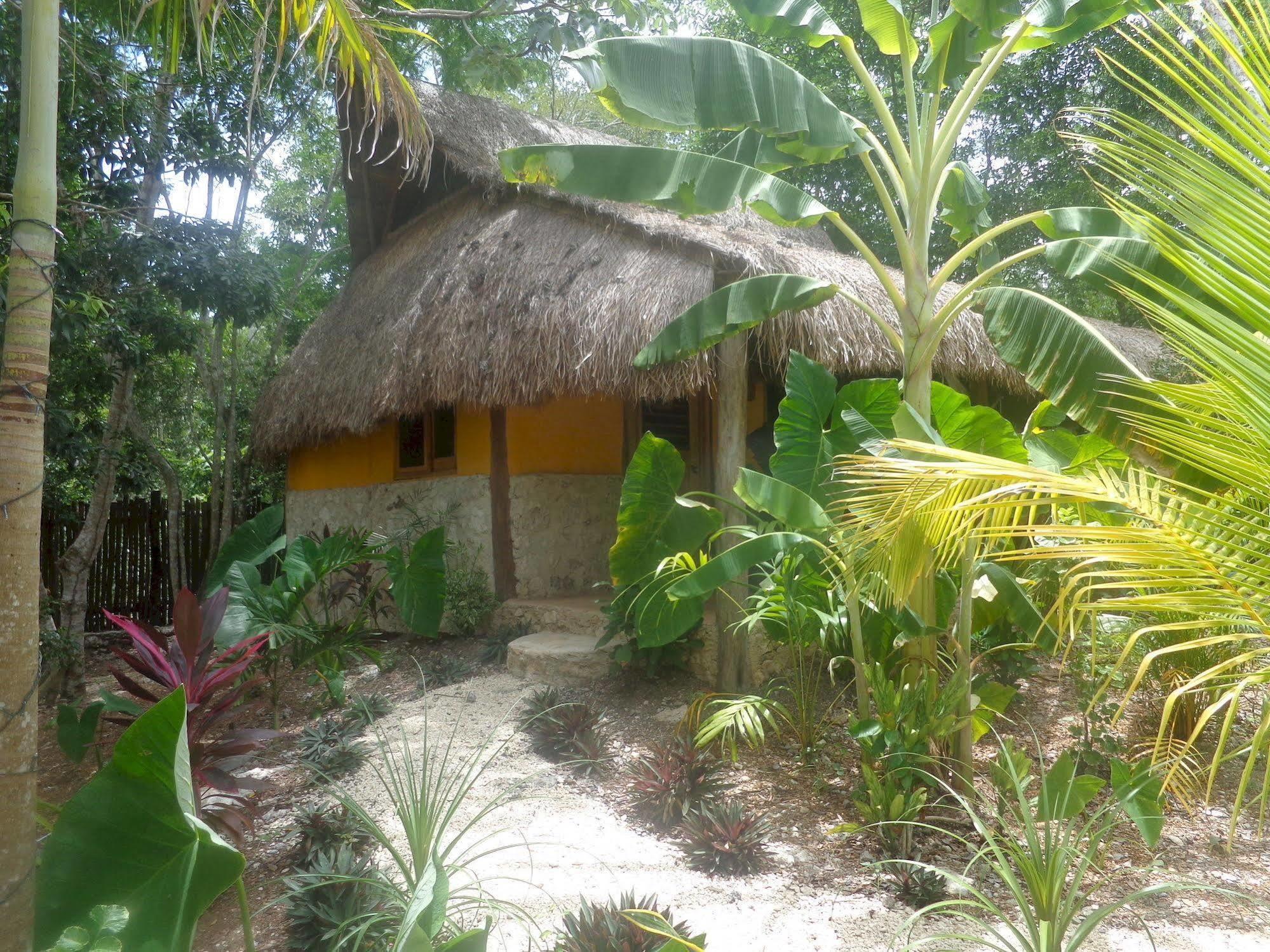 Casa Mango Bed and breakfast 2*