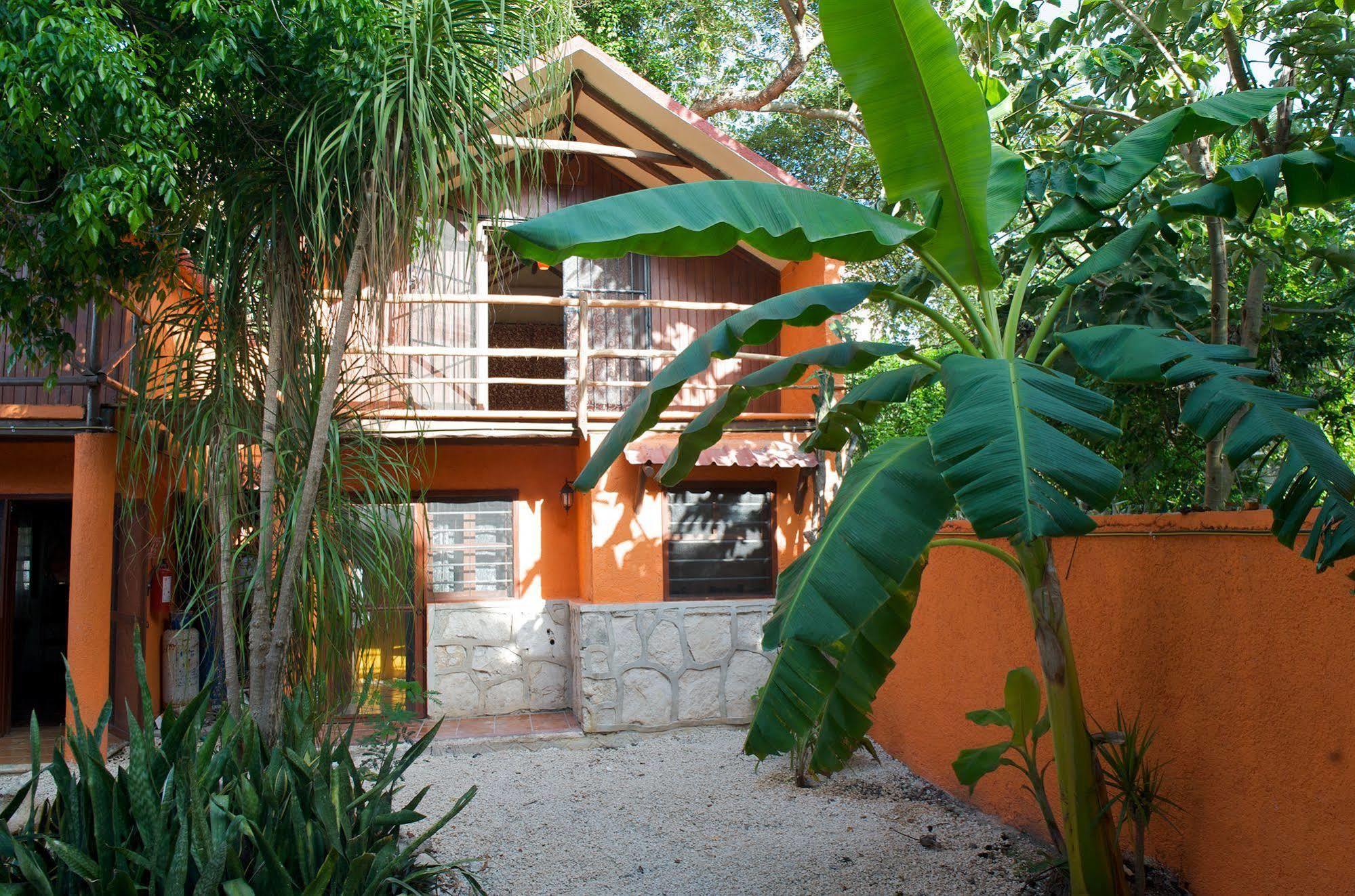 Casa Mango Bed and breakfast Tulum