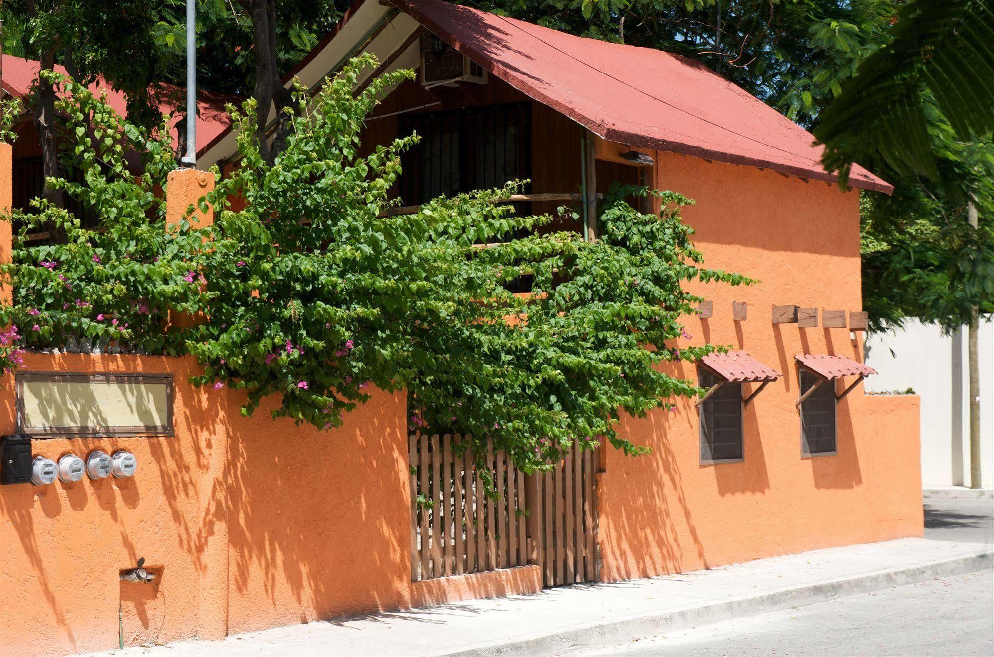 Casa Mango Bed and breakfast