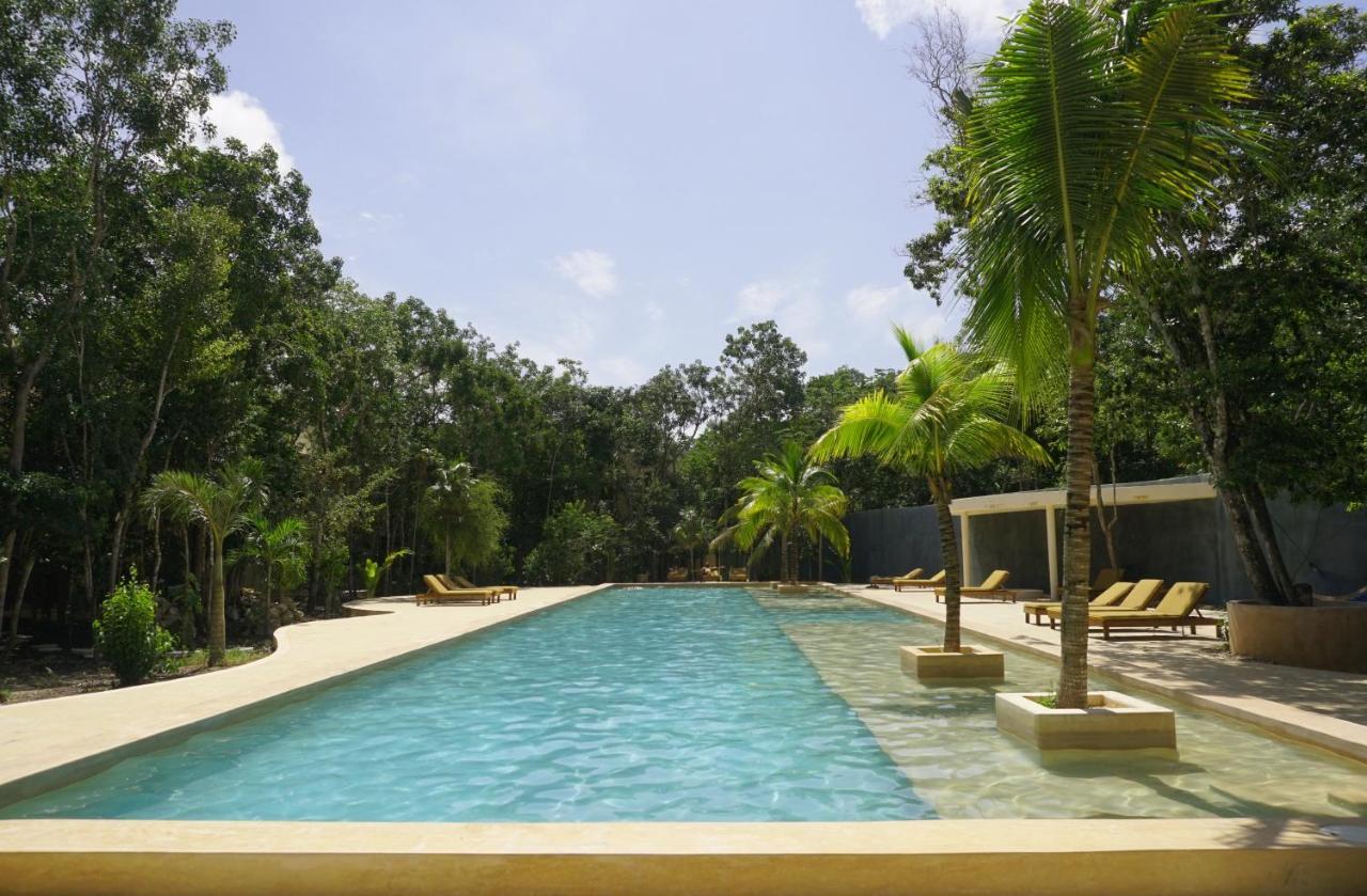 The Beehive Experience At Holistika Hostal