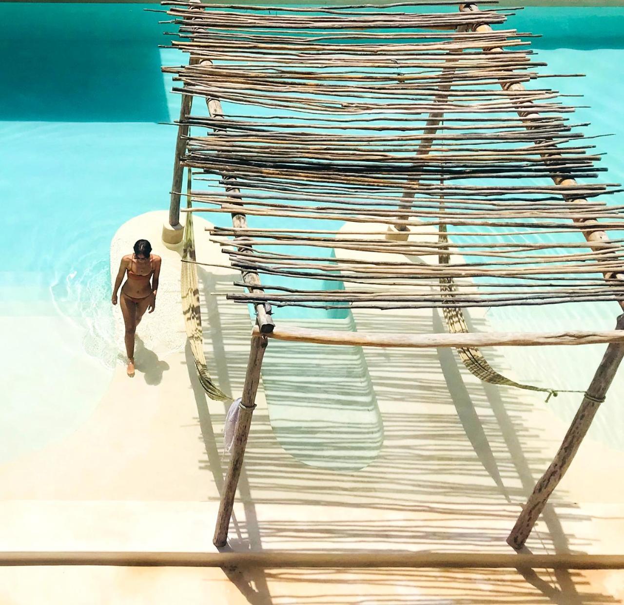The Beehive Experience At Holistika * Tulum