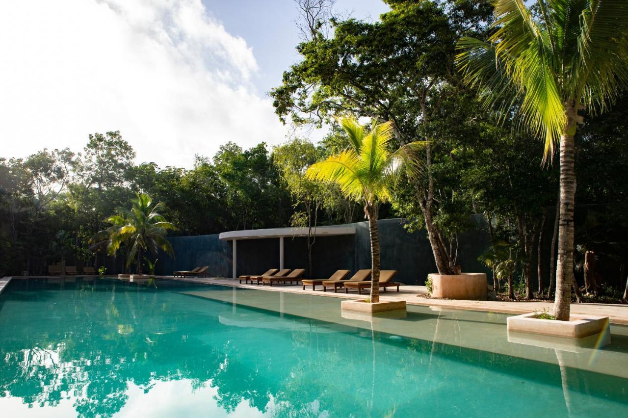 The Beehive Experience At Holistika * Tulum