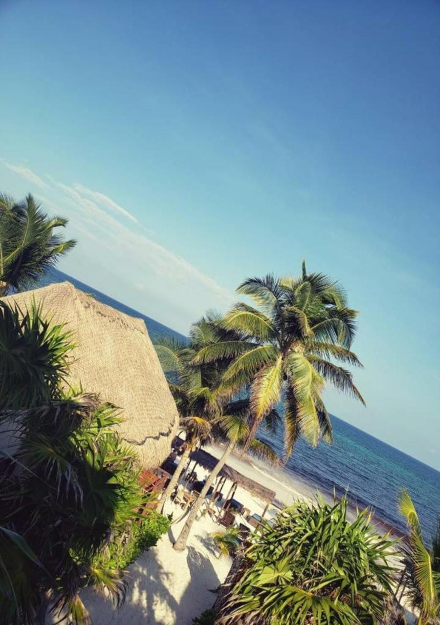 Hotel Agua Eco Design 4*